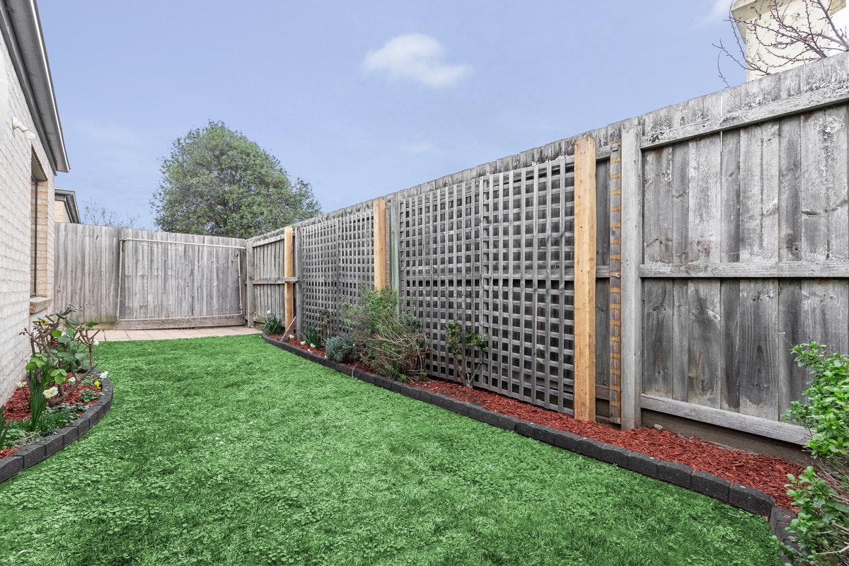 Image of backyard