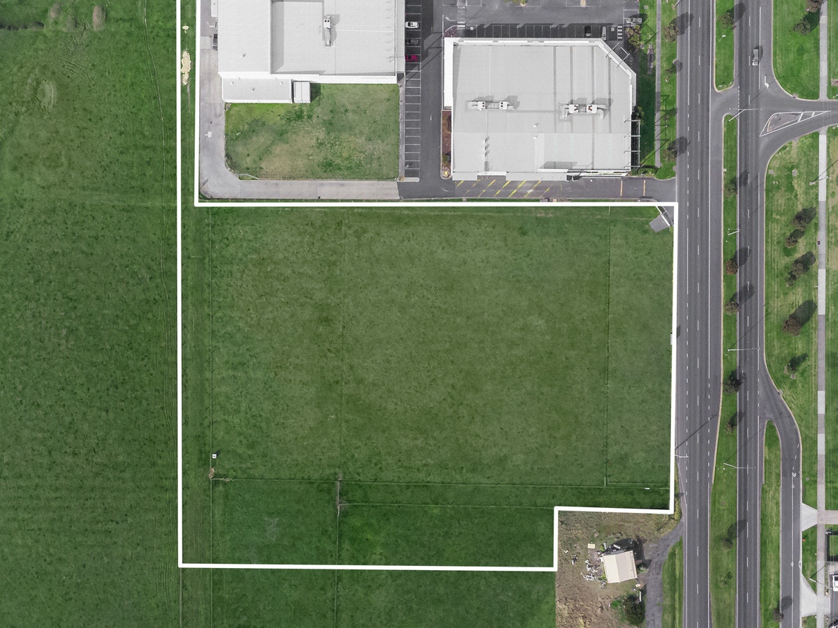 Image of grass