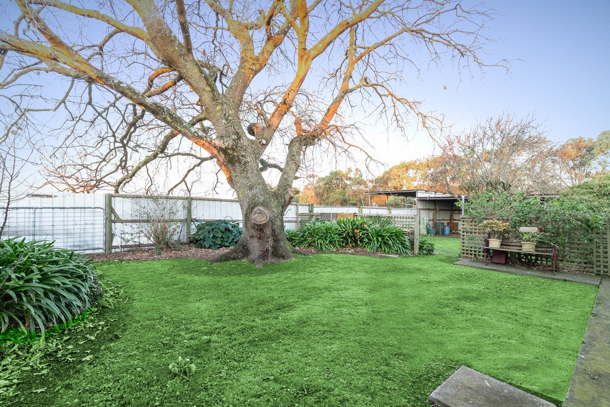 Image of backyard