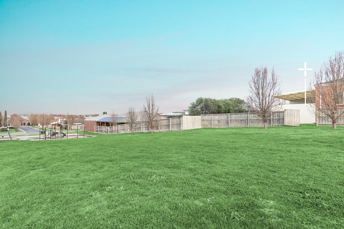 Image of grass