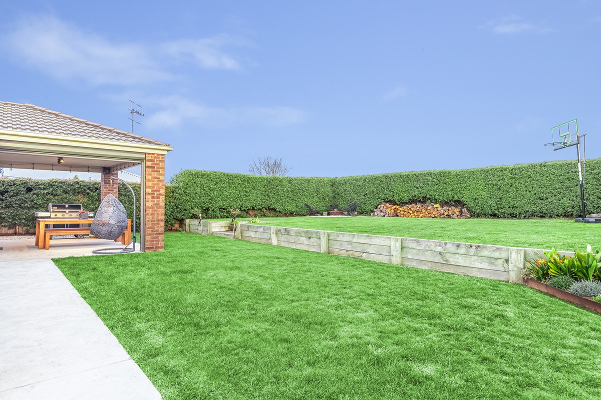 Image of grass