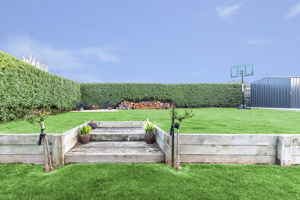 Image of grass