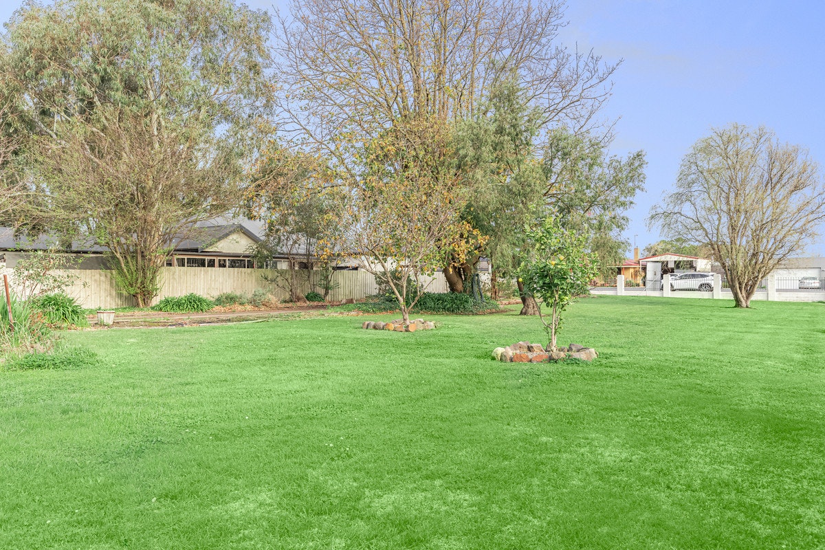 Image of grass