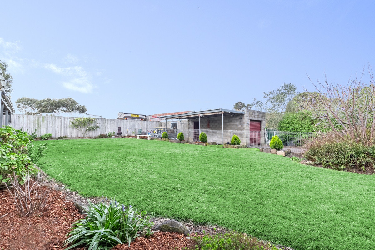Image of grass