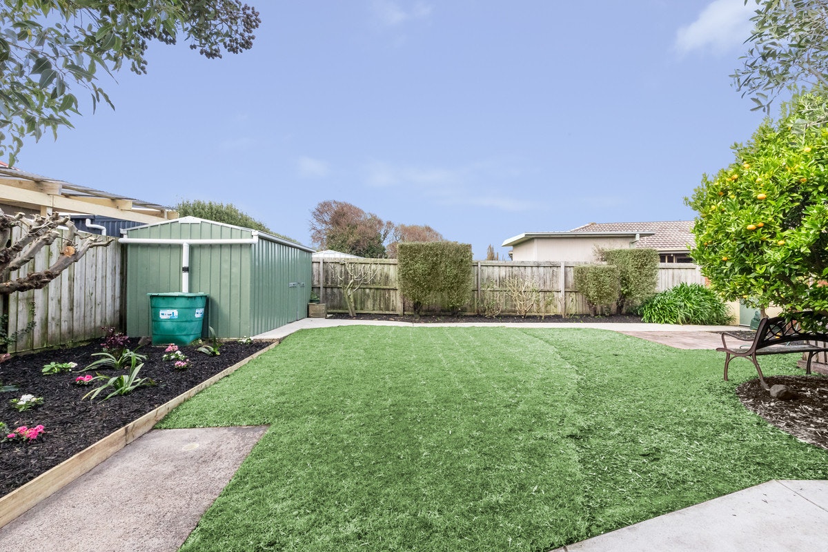 Image of backyard