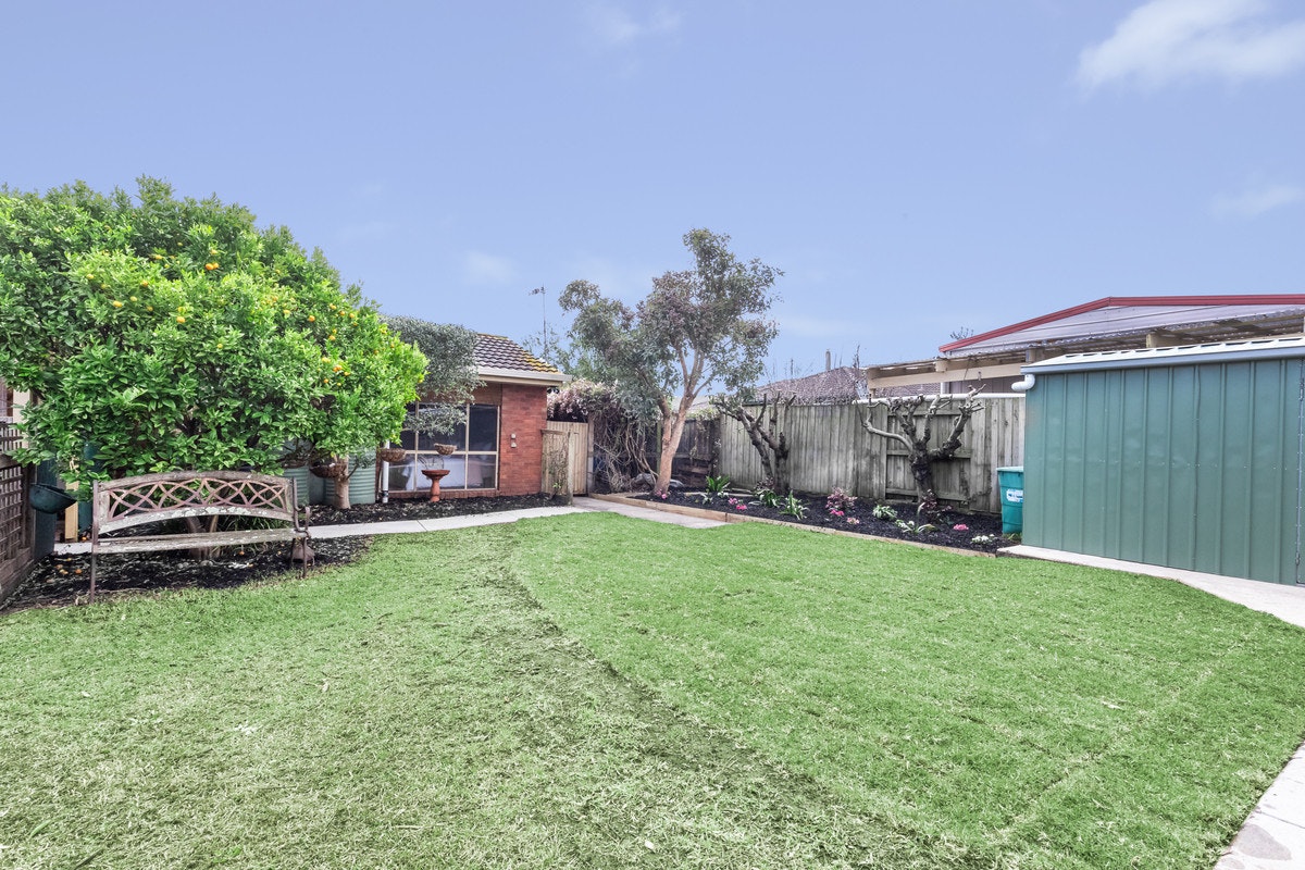 Image of backyard