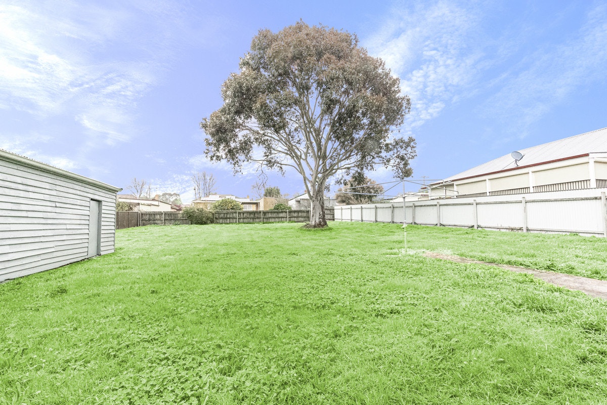Image of grass