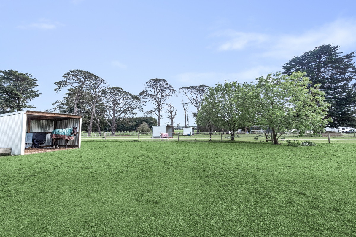 Image of grass