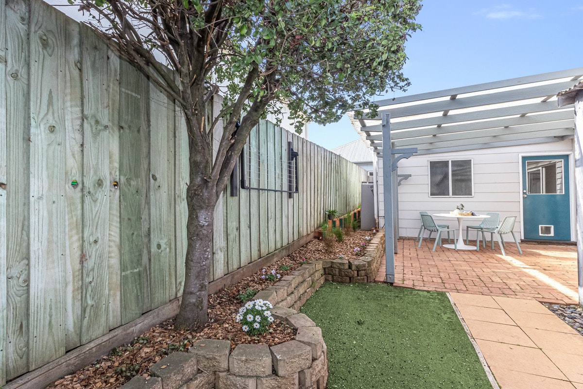 Image of backyard