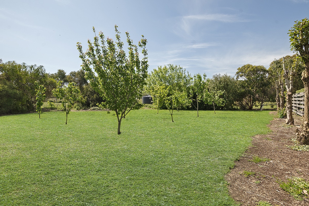 Image of grass