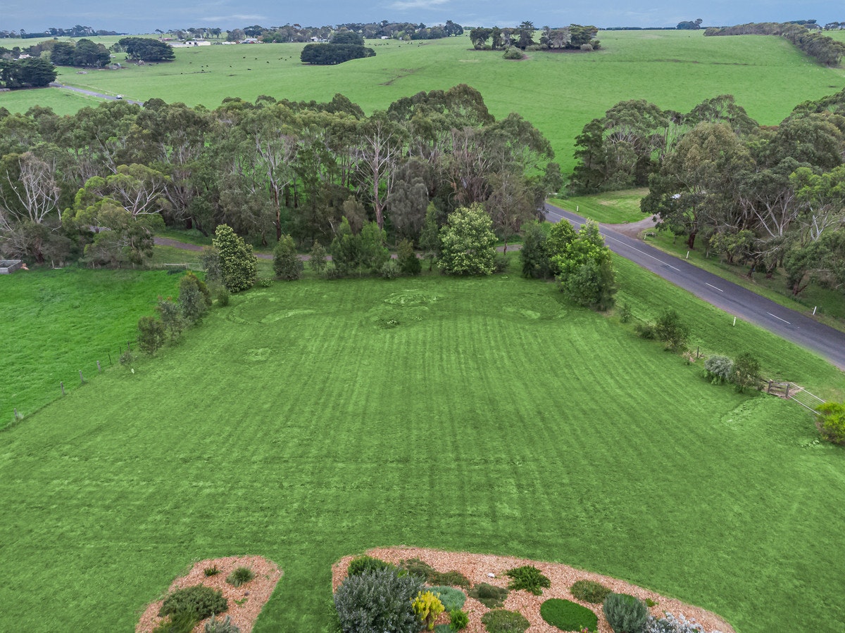 Image of grass