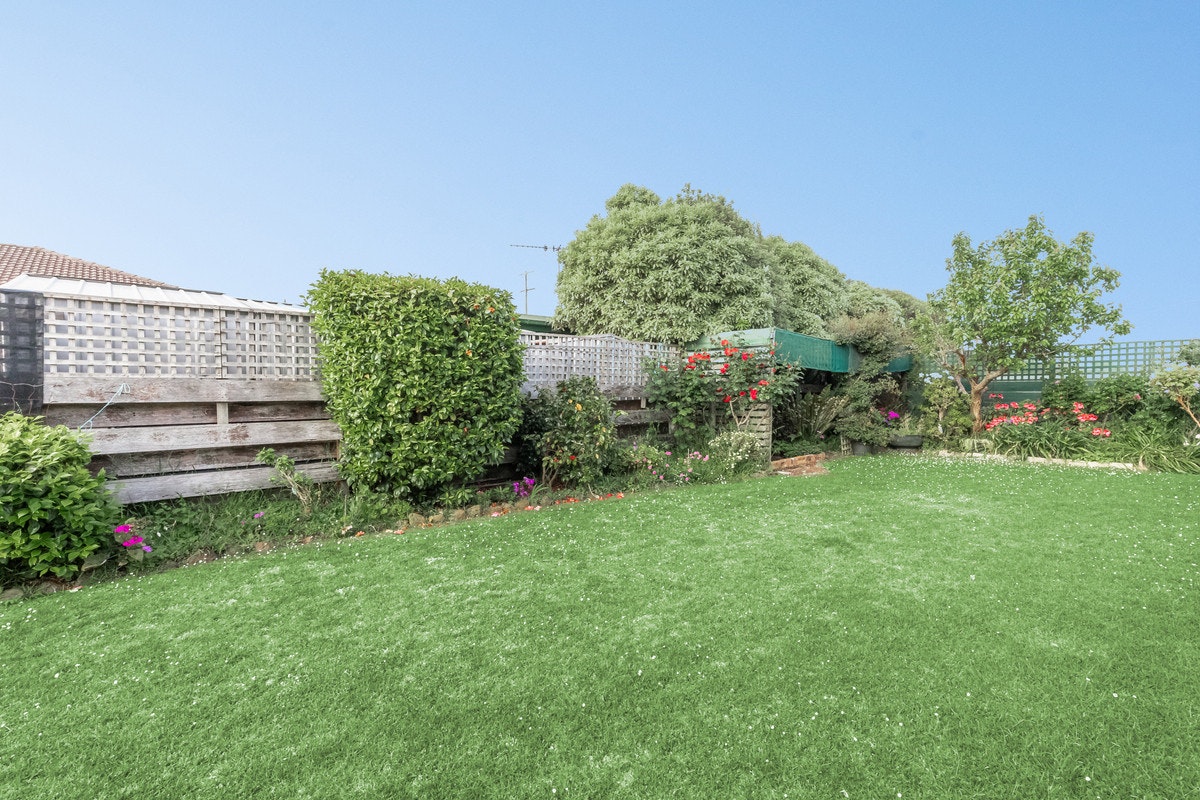 Image of backyard