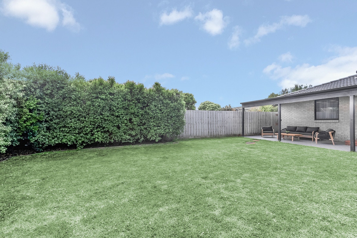 Image of backyard