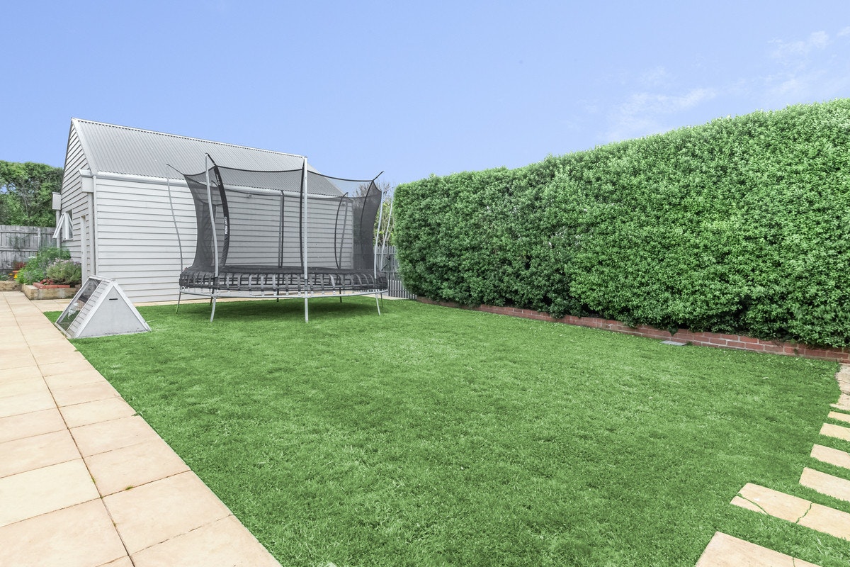 Image of grass