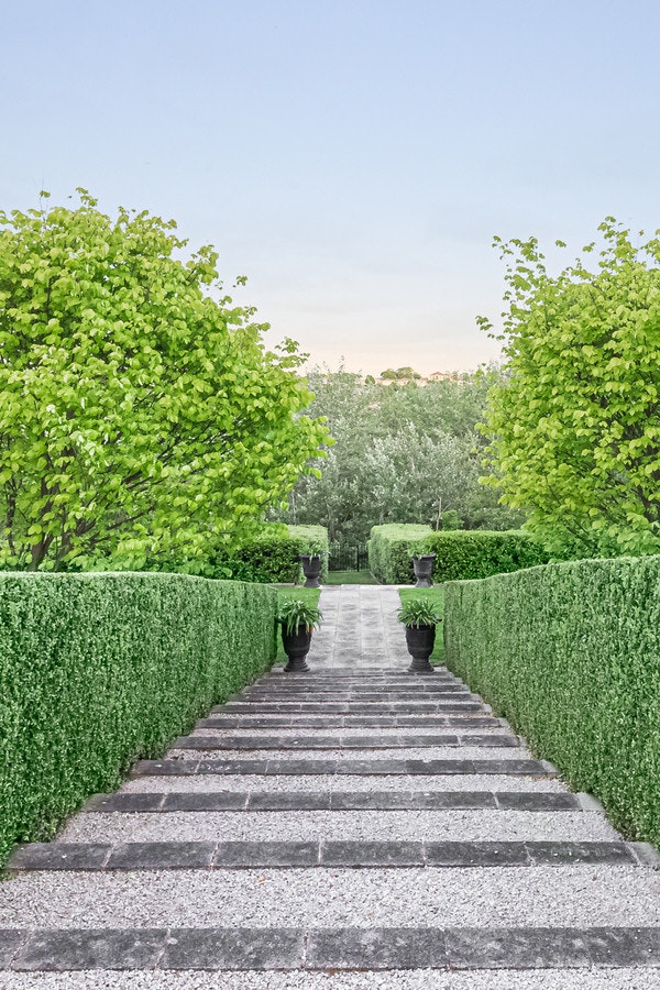 Image of garden