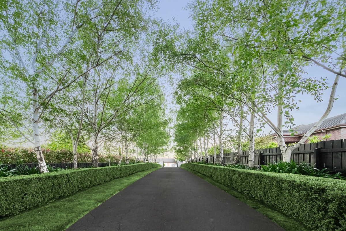 Image of grass
