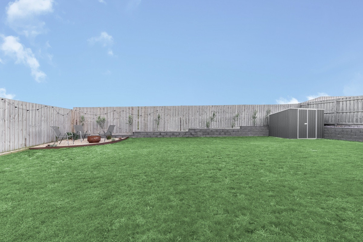 Image of grass