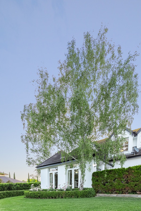 Image of grass