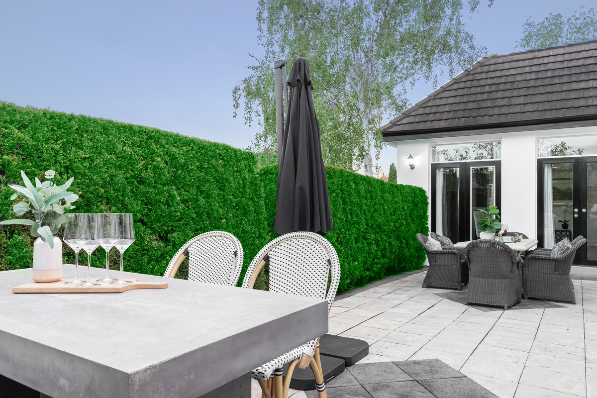 Image of backyard