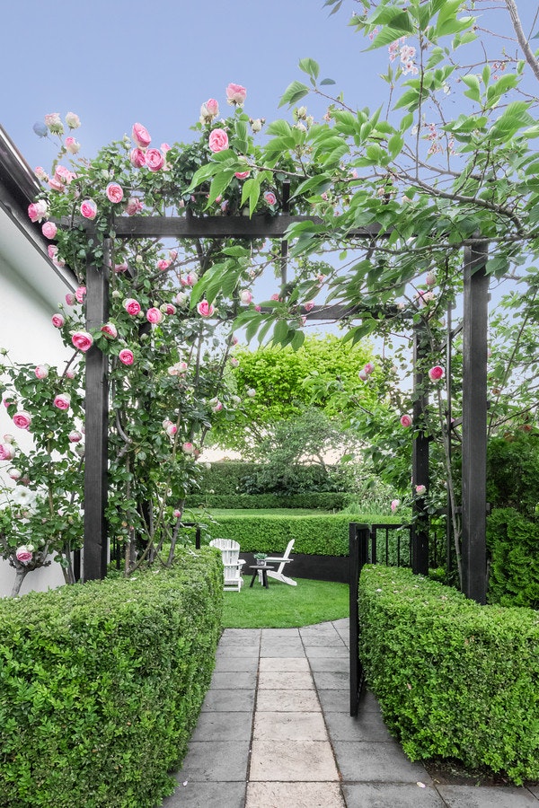 Image of garden