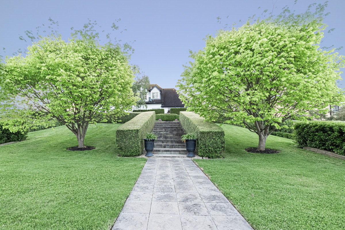 Image of grass