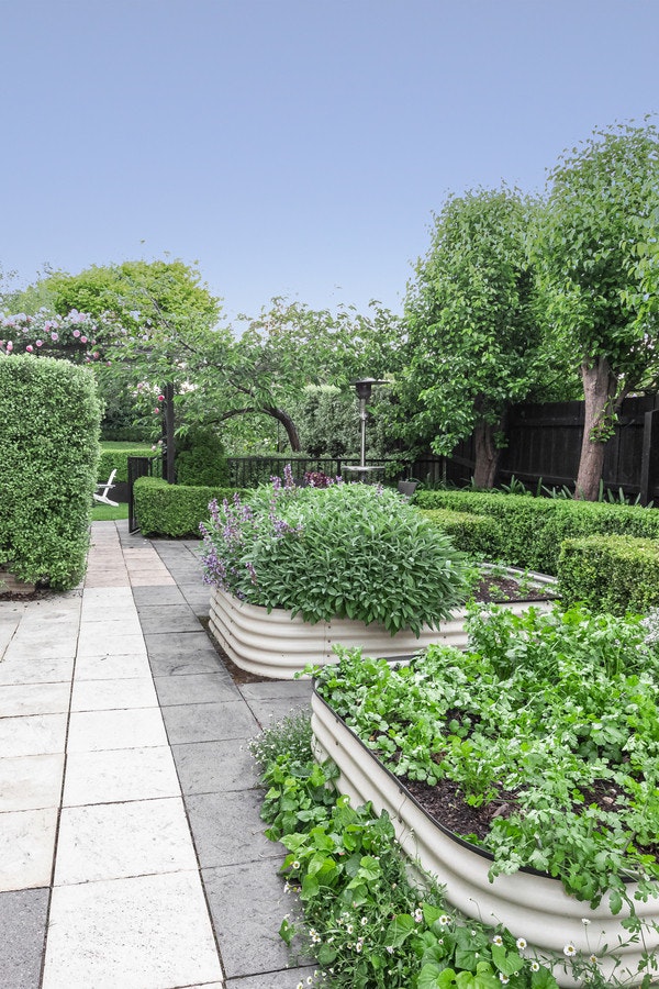 Image of garden