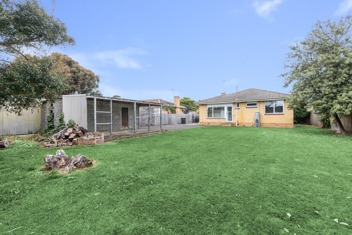 Image of grass