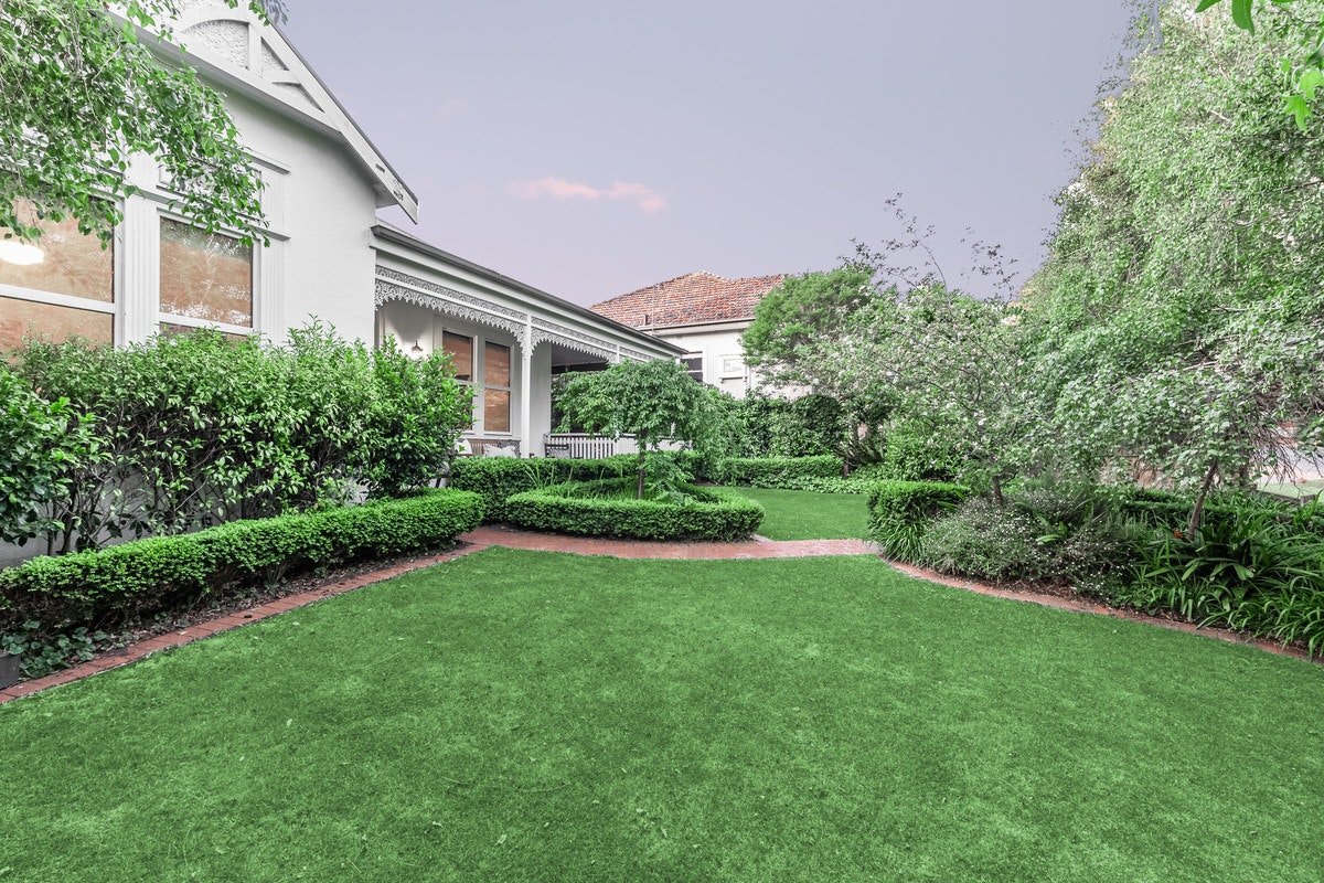 Image of grass
