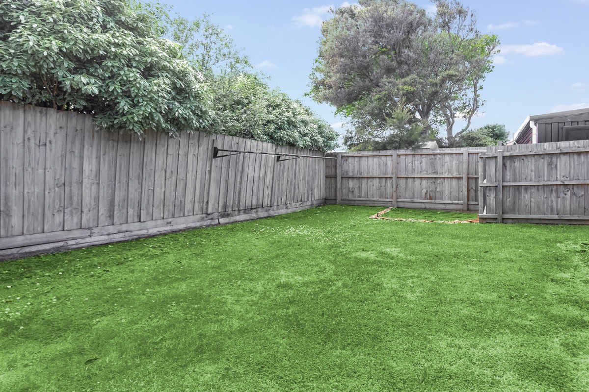 Image of backyard