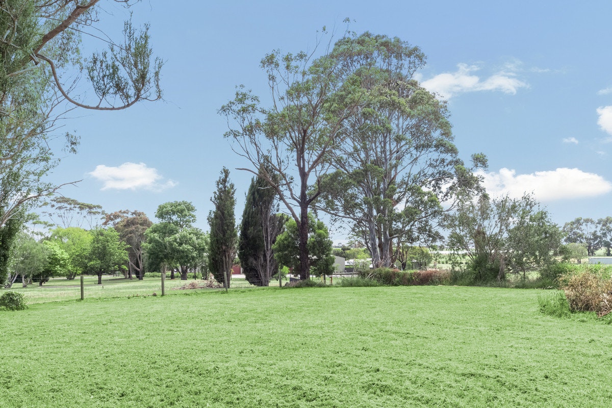 Image of grass