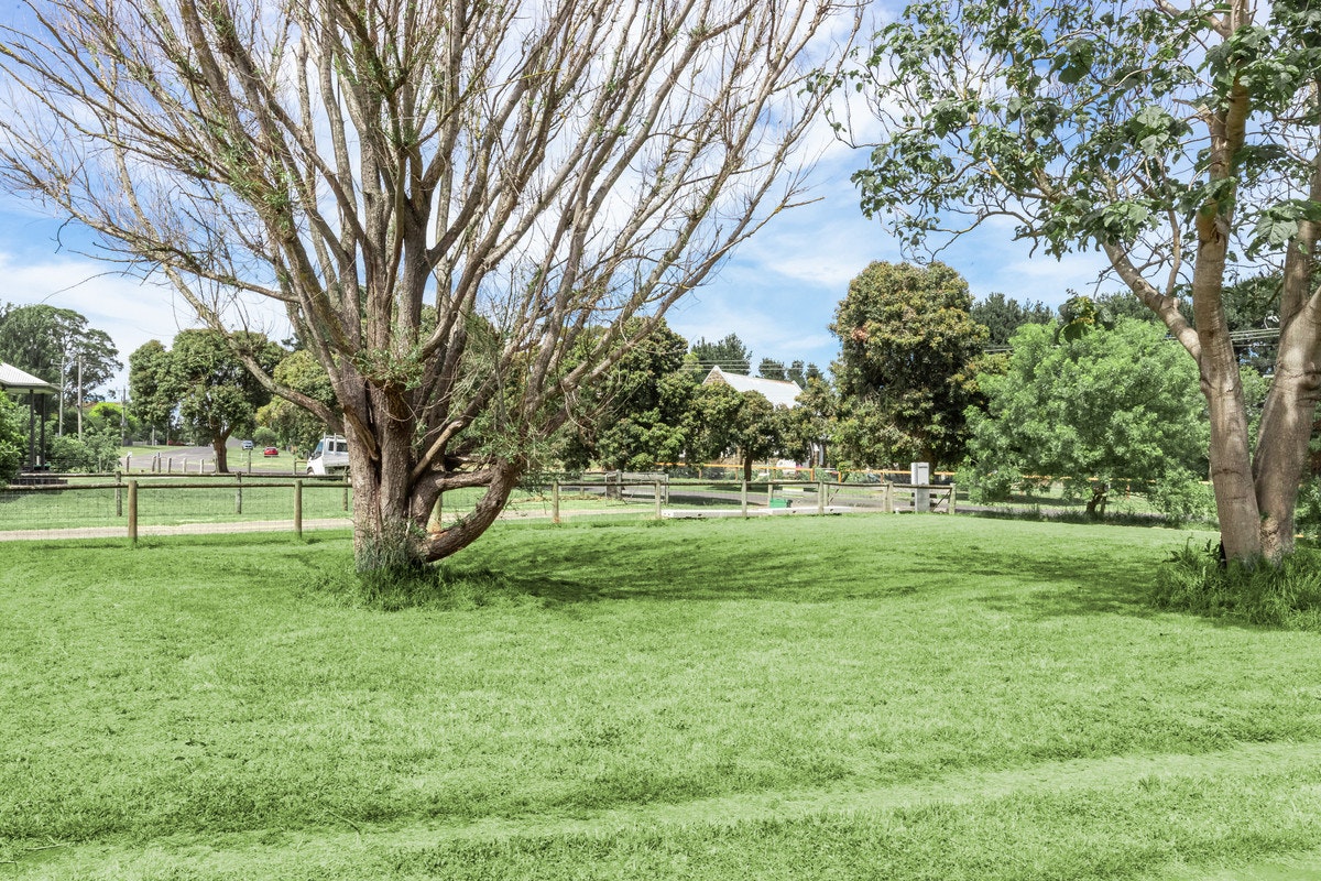 Image of grass