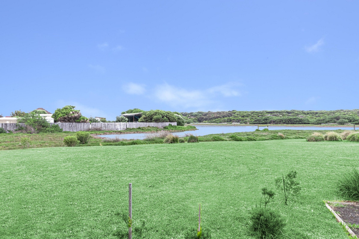 Image of grass