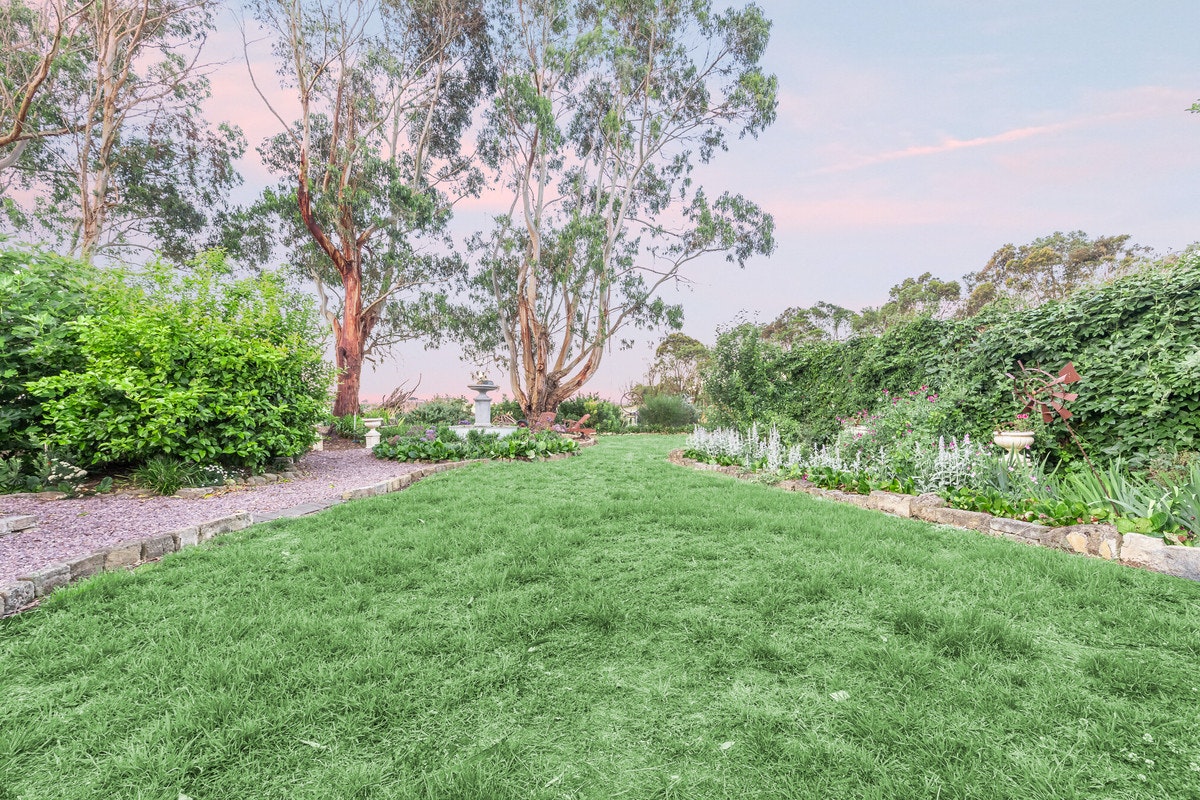 Image of grass
