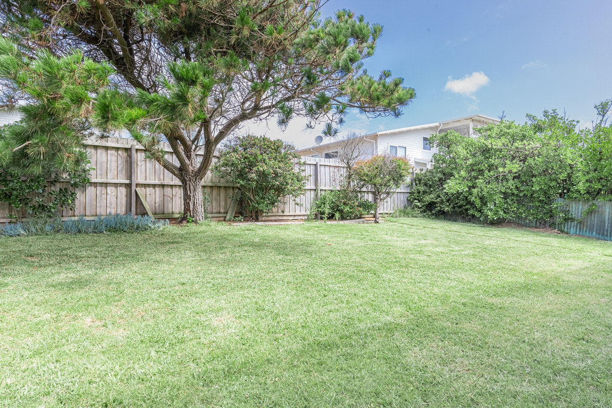 Image of backyard