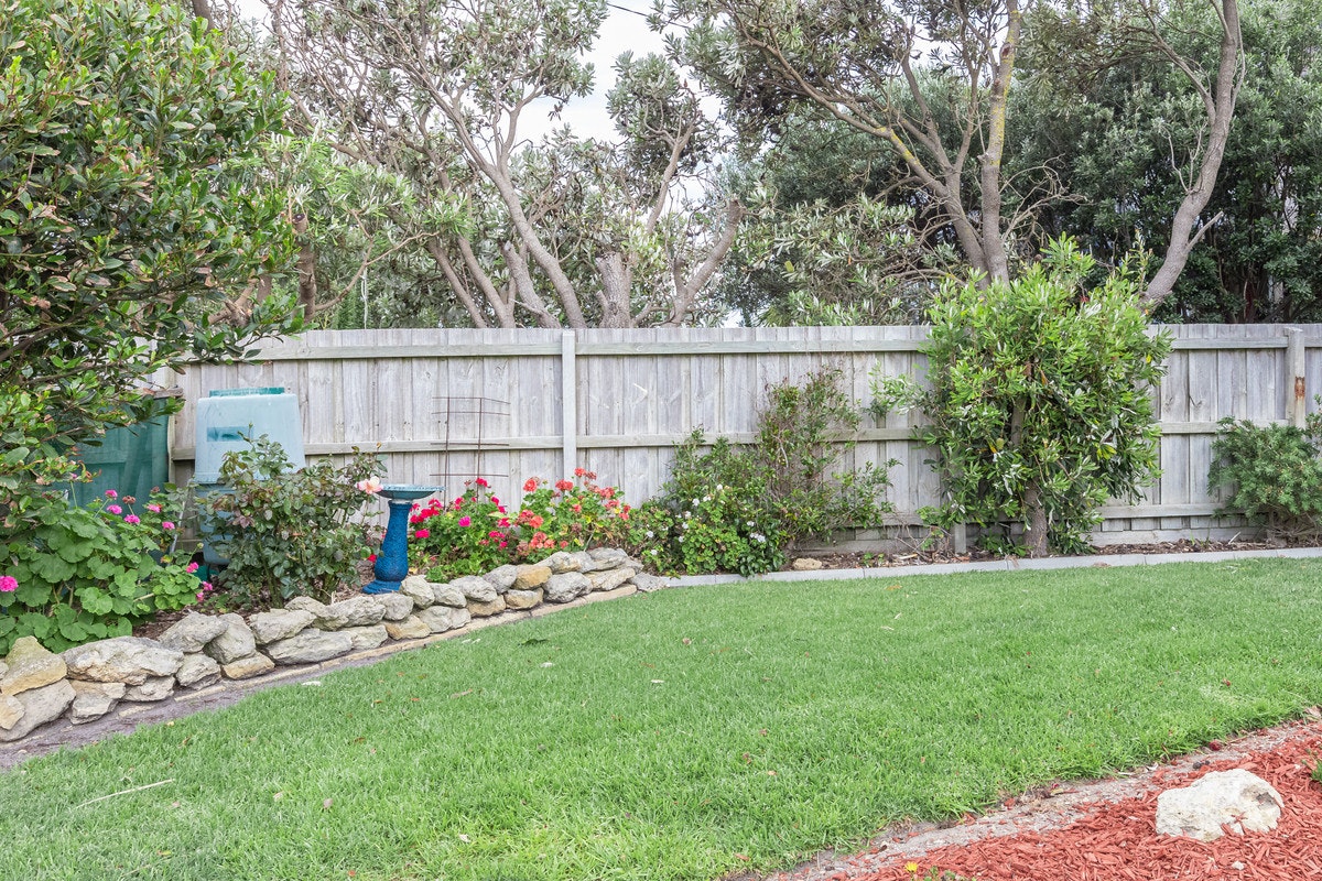Image of backyard