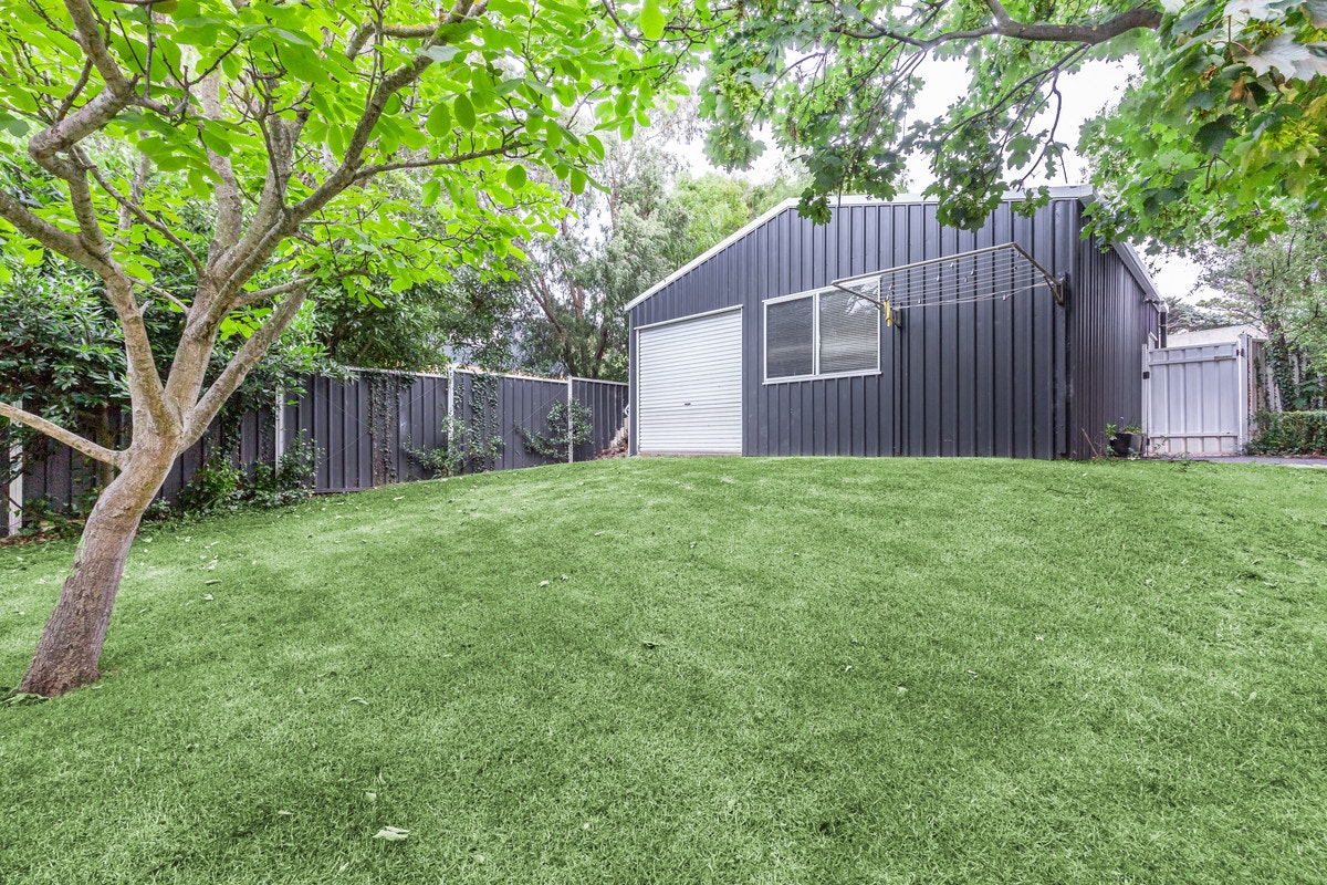 Image of backyard