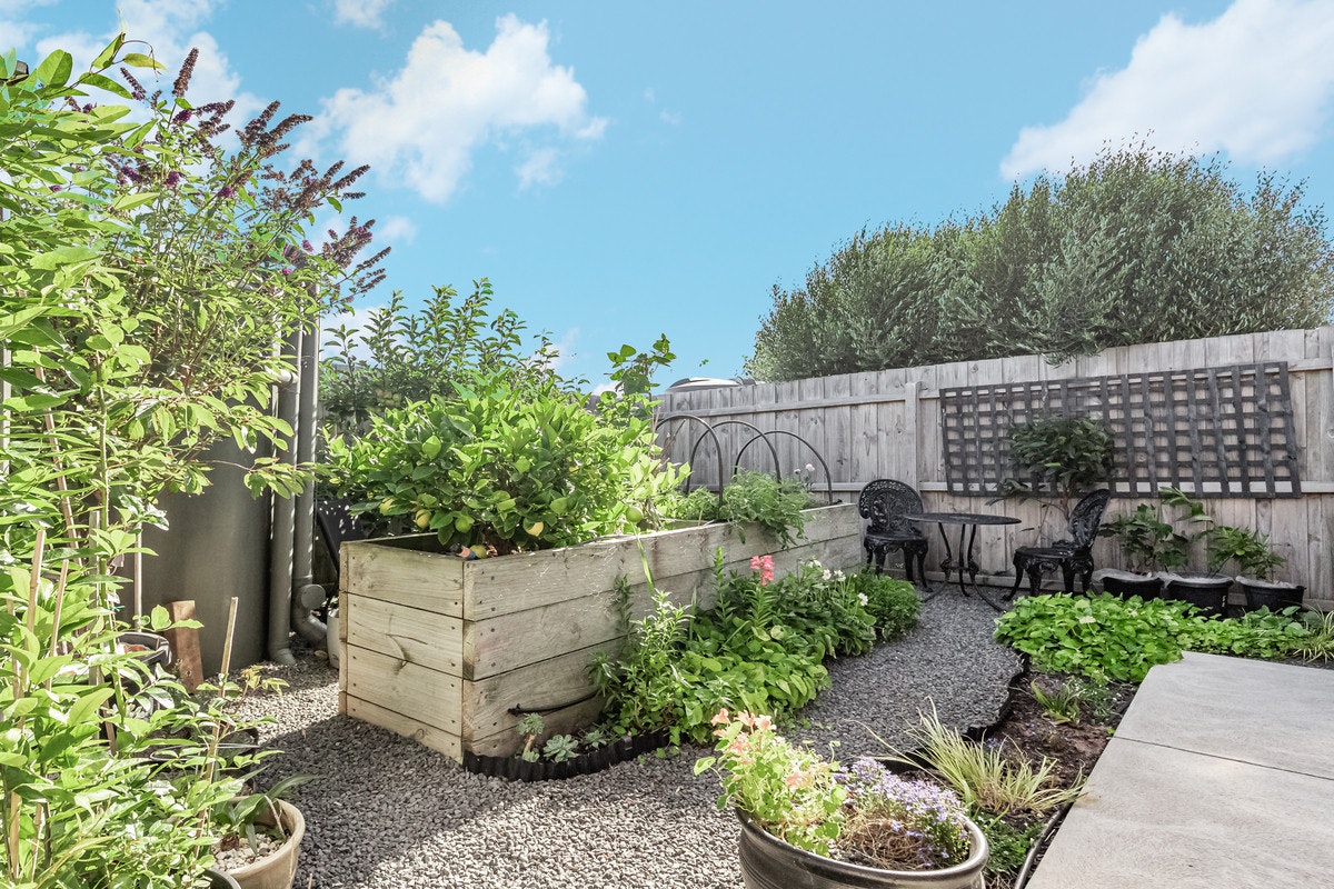 Image of backyard
