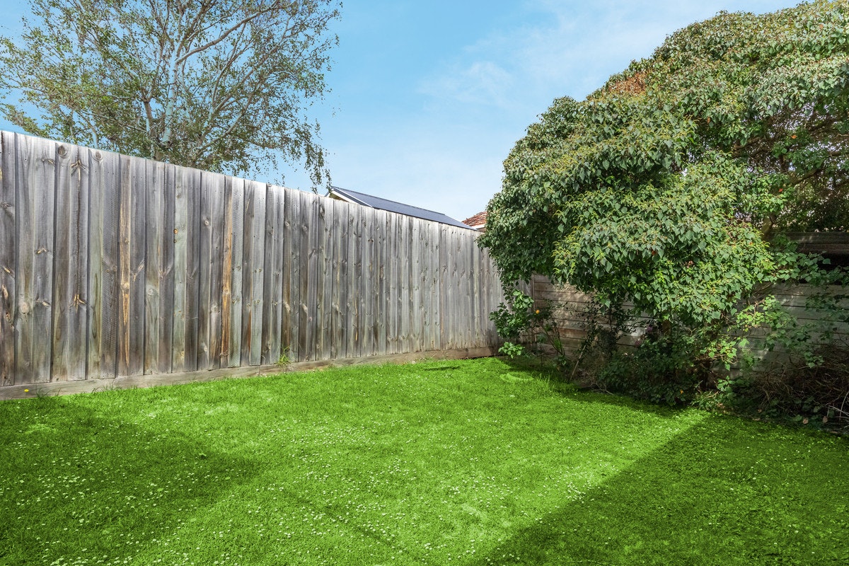 Image of backyard