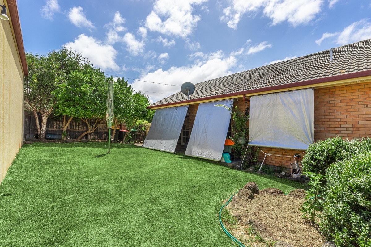 Image of backyard