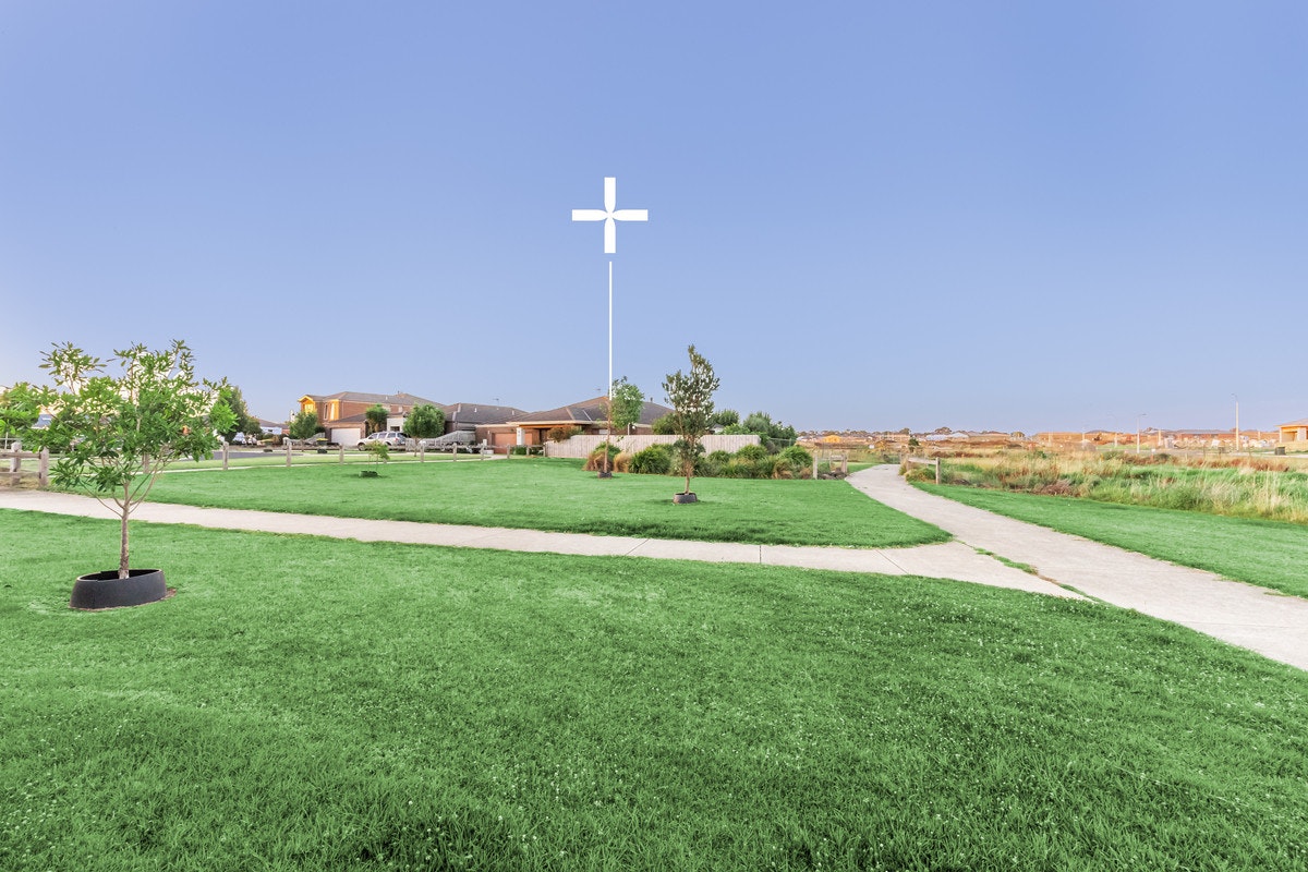 Image of grass