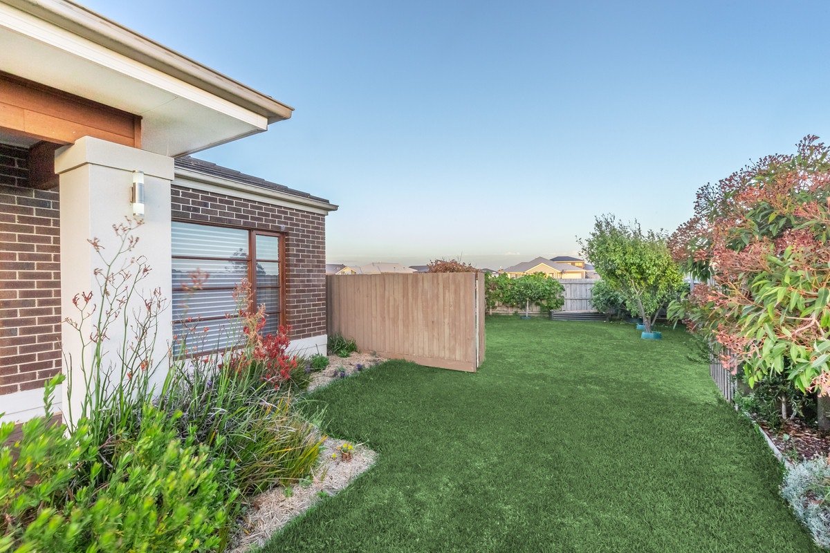 Image of backyard