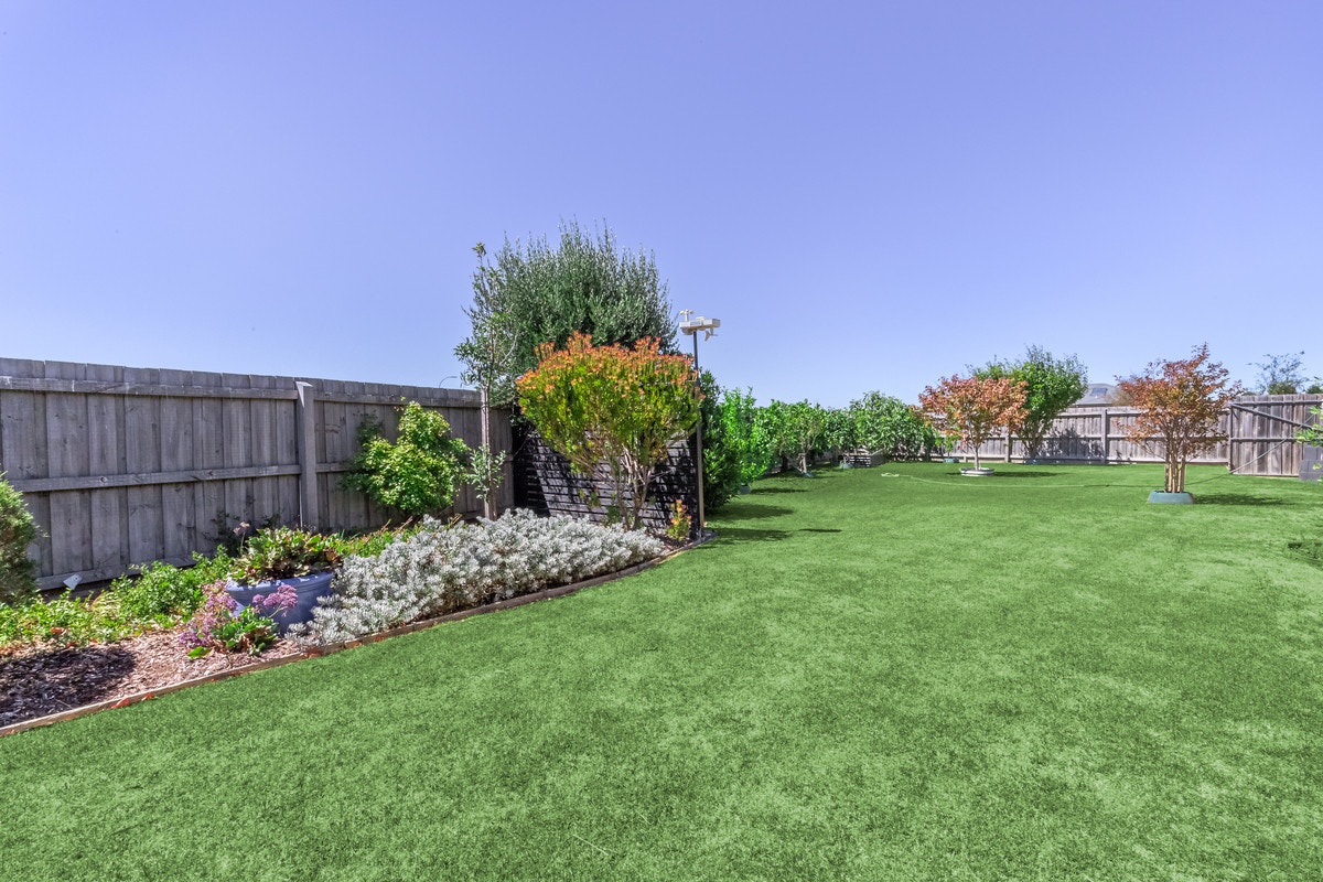 Image of backyard