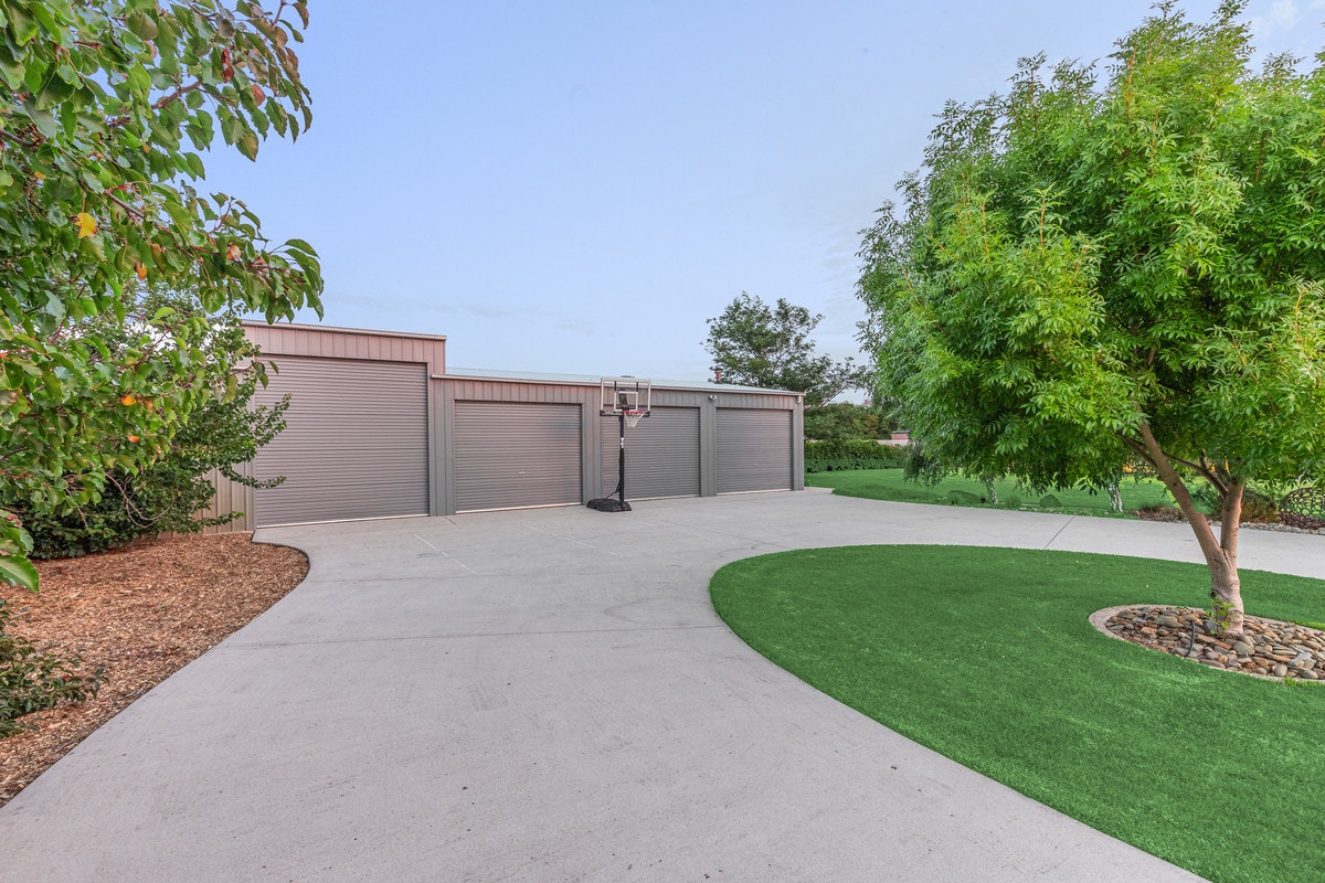 Image of grass