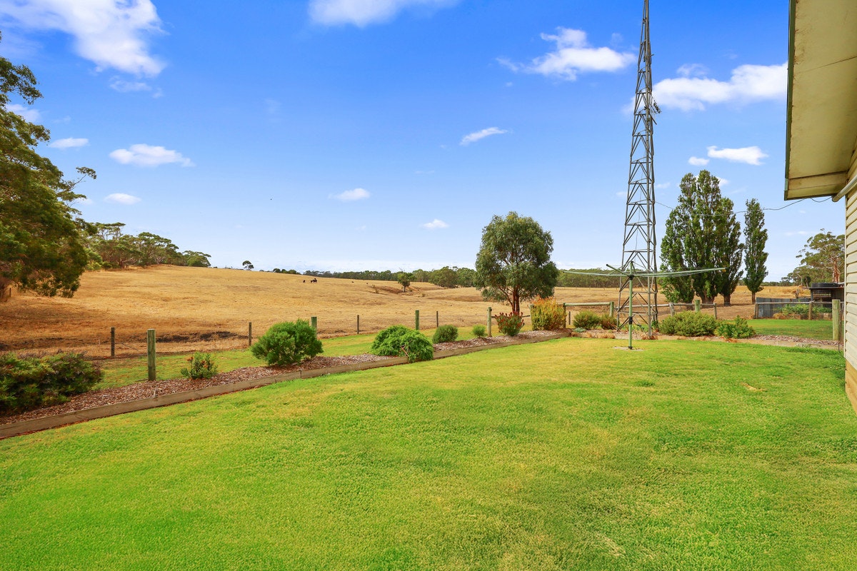 Image of grass