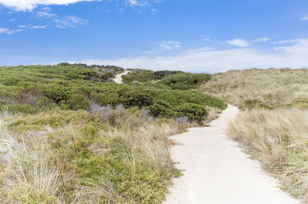 Image of path