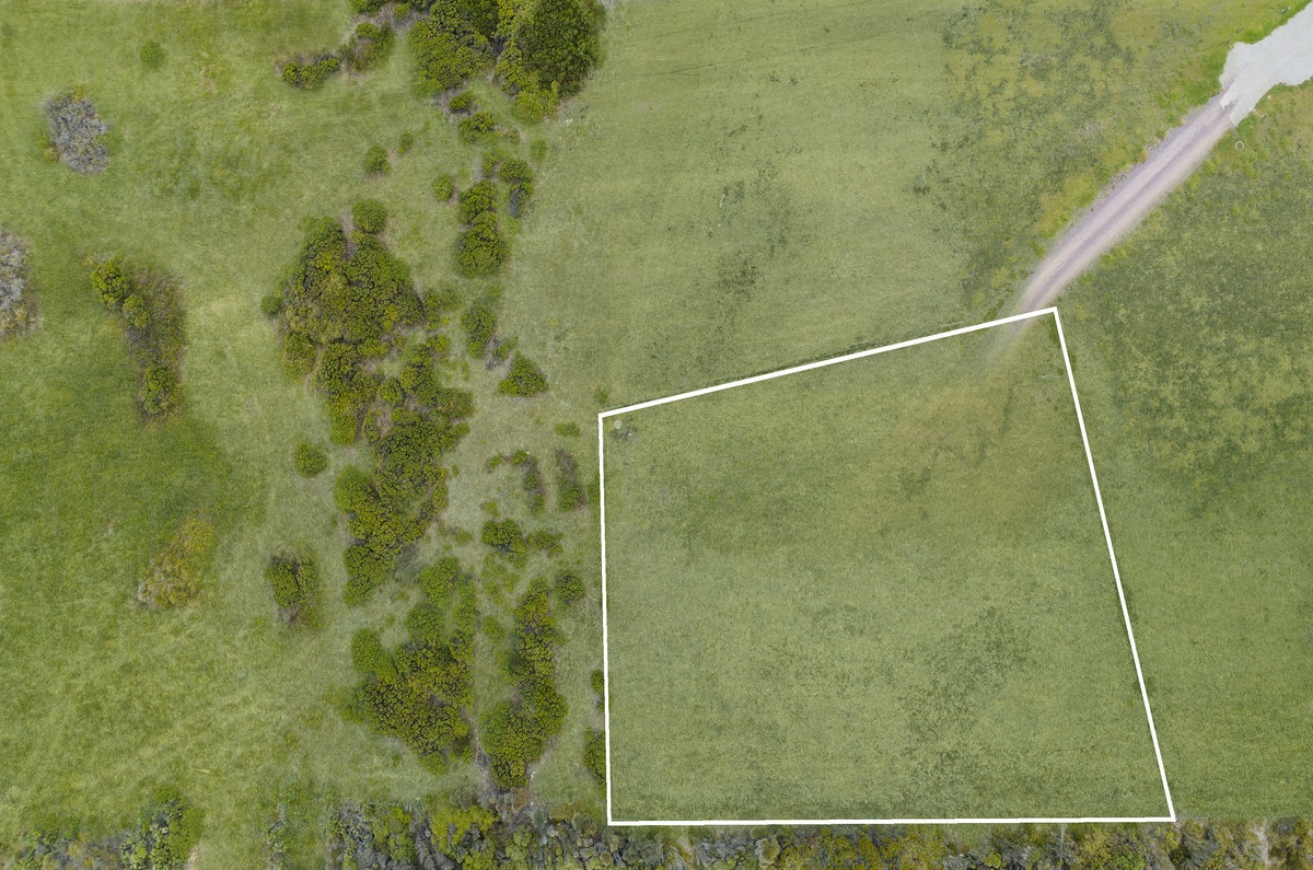 Image of field