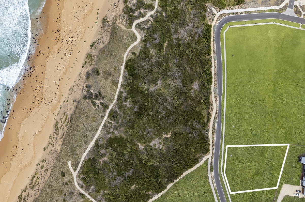 Image of field