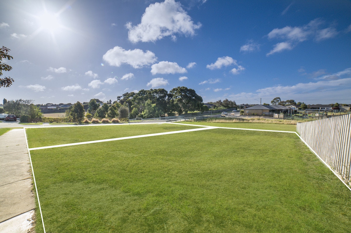 Image of grass