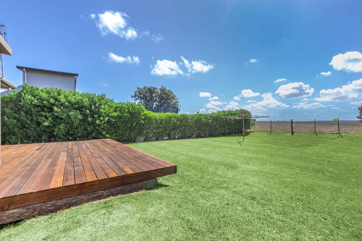 Image of grass