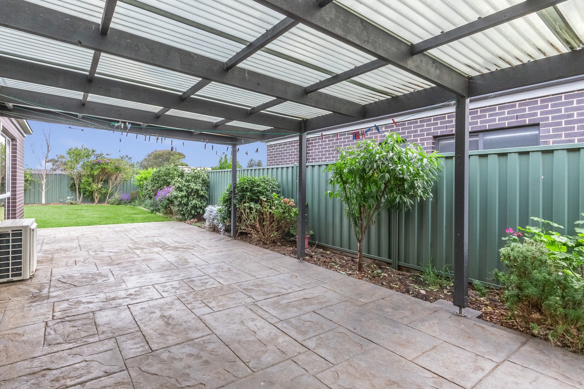 Image of backyard